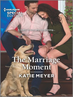cover image of The Marriage Moment